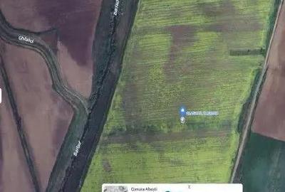 Teren Albesti, Vaslui, ID: R2893960 - 2
