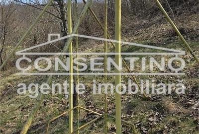 Casă cu 6 camere cu Teren 2200 Mp în Tisău - 5