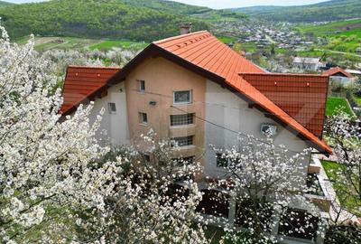 Casa boiereasca, rafinata si luxoasa cu 8 camere, 480mp, Chicerea - 3