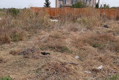 Teren Construcții intravilan de 560 mp, în Periș - 8