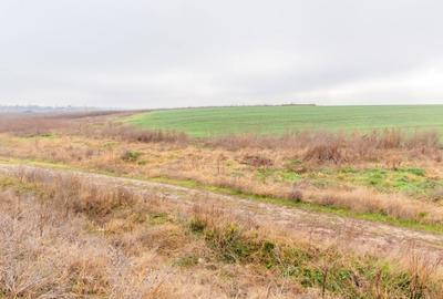 CERNICA - POSTA - TEREN INTRAVILAN CONSTRUCTII 15000 MP! - 5