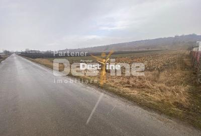 Teren Construcții intravilan de 3200 mp, în Girov - 5