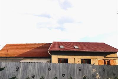Teren Mare cu 2 case in Biharia. - 3