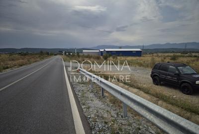 Teren intravilan - 1070 mp - str. Ciocarlau - spre Preajba - 11