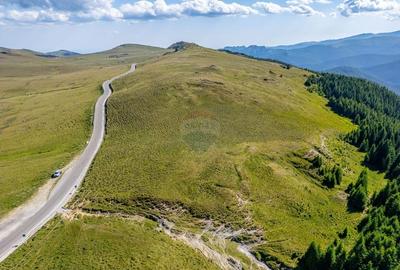 Teren intravilan Transbucegi / Oportunitate de dezvoltare Transbucegi - 8