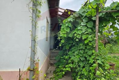 Casă cu 3 camere cu Teren 5000 Mp în Cislău - 8