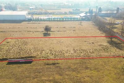 Teren intravilan, pe 3.500 mp, pozitie apreciabila, Grivitei - 3