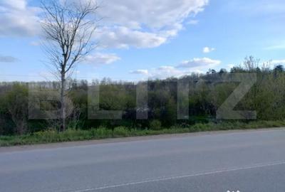 Teren de 99930 mp, în Central