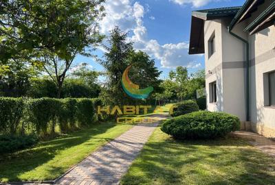 Casă individuală cu 6 camere cu Canalizare în Bolintin-Deal - 6