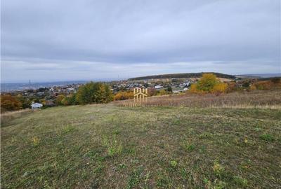 Teren Intravilan 2460 mp - Burdujeni Sat! - 4