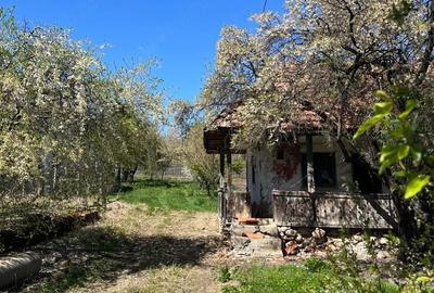 Casă cu Teren 2000 Mp în Valea - 2