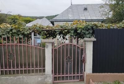 Casă individuală cu 3 camere cu Teren 3886 Mp în Gârleni - 2