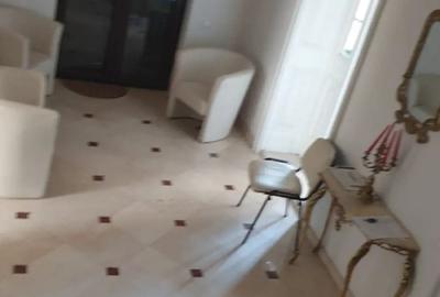 Inchiriere casa zona Mosilor - 9