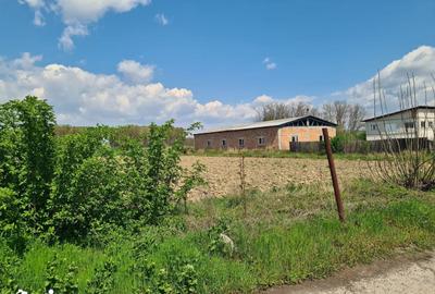Teren de 5656 mp, în Mihăești - 3