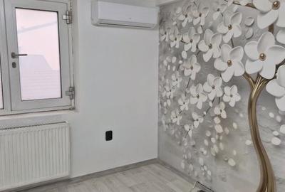 De vânzare Vilă individuala 11 camere curte proprie Parcul Carol De vânzare Vilă individuala 11 camere curte proprie Parcul Carol - 34