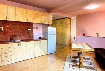 Casă individuală cu 5 camere cu Teren 180 Mp în Cetății - 11