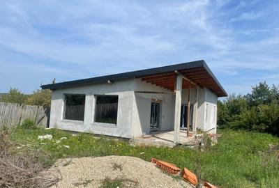 Casa la rosu sau la cheie str. Labusesti, Pitesti, Arges - 10