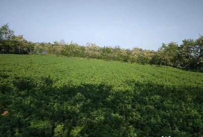 Teren de 2500 mp, în Tuzla - 2
