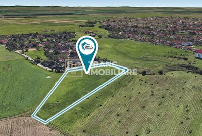 Teren Construcții intravilan de 11500 mp, în Sânnicolau Mic - 3