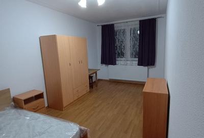 Garsonieră decomandată în Turnișor - 11