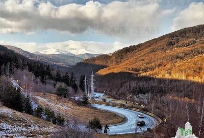 Teren de vanzare pe DN1 A / Valea Popii / Maneciu / Prahova - 3