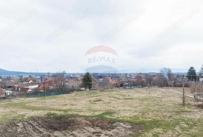 Teren de 9979 mp, în Crizbav