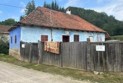 Casă tradițională în Valea Zălanului – acoperiș refacut teren 1.690 m² Casă tradițională în Valea Zălanului – acoperiș refacut teren 1.690 m² - 9