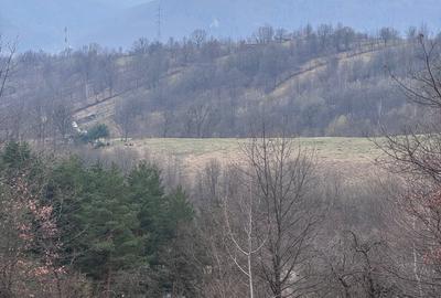 6000 MP intravilan, sat Bistrita, 9 Eur/MP - 3