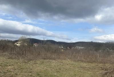 Teren de 1000 mp, în Bănești - 2