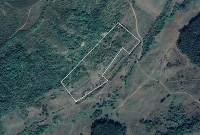 Teren extravilan, Valea Chiejdului, 5 ha, expunere S-E - 2