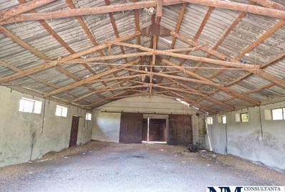 Teren Construcții intravilan de 3735 mp, în Lilieci - 5