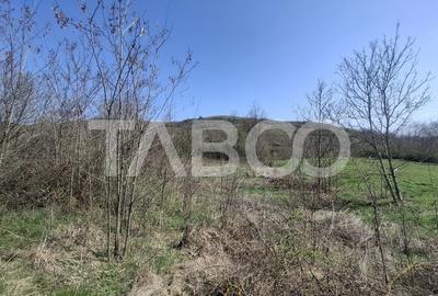 Teren intravilan de vanzare 1450 mp Slimnic Sibiu - 3