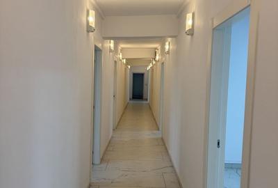 Birou, de 300 mp, în Giurgiului - 6