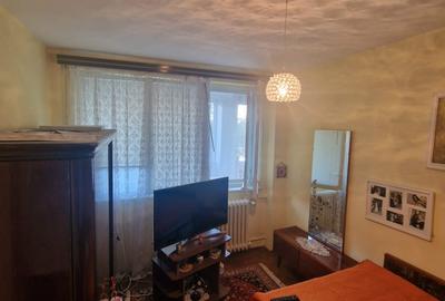 Baba Novac, Parc Ior, Mall Park Lake - 6