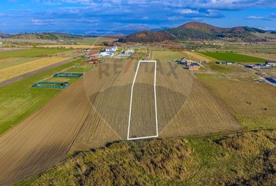 COMISION 0% Teren Sânpetru 8900 mp/ Intravilan/ 8 loturi - 4