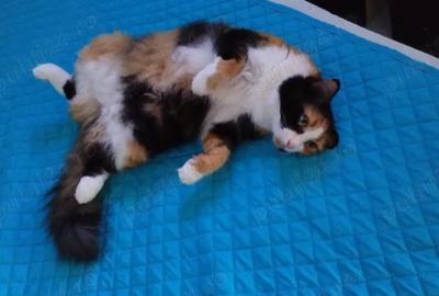 Garsonieră nedecomandată în Ferentari - 1