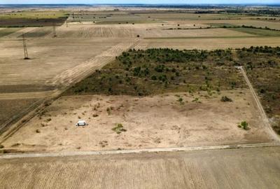 Ocazie- Teren Intravilan de Vanzare- Peris Snagov- Doar 13 euro/mp - 3