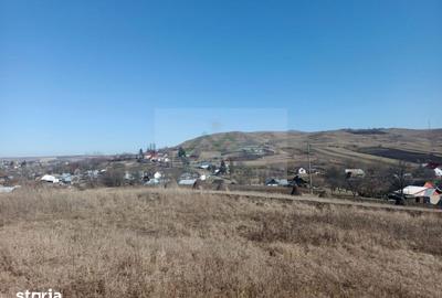 Teren de 8821 mp, în Răucești - 6