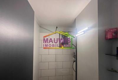 Apartament cu 2 camere, mobilat în Baba Novac - 5