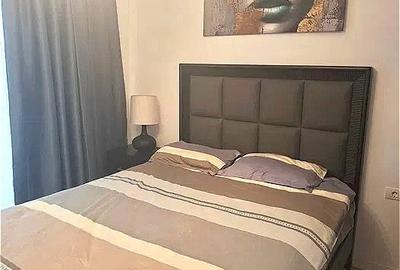 Apartament cu 2 camere semidecomandat, mobilat în Tunari - 4