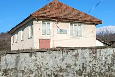 Casă cu 3 camere în Turcinești - 3