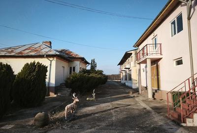 Casă cu 15 camere cu Teren 6500 Mp în Sutești - 9