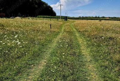 Comision 0%, intravilan 1000 mp, Sambata de Sus, Brasov - 7