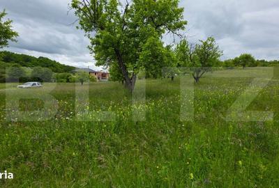 Spațiu comercial, în Slătinița - 3