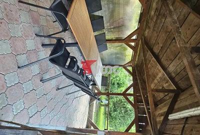 Casa individuala in zona Freidorf Casa individuala in zona Freidorf - 4