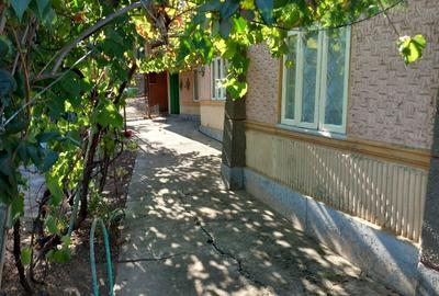 Casa si teren de vnzare in Comuna Salciile Casa si teren de vnzare in Comuna Salciile - 3