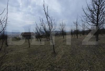 Teren de 900 mp, în Central - 2