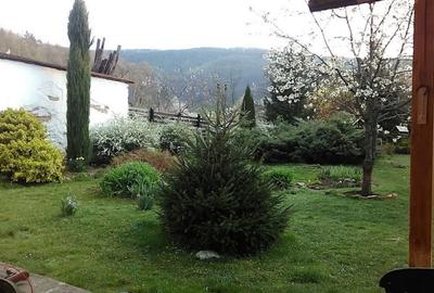 Casă cu 7 camere cu Teren 3000 Mp în Zam - 14
