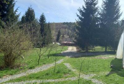 Vand casa+cabana Vand casa+cabana - 6