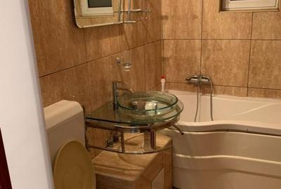 Apartament cu 2 camere în Paltiniș - 10